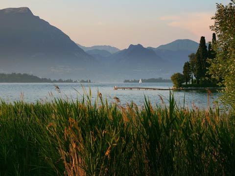 Sola Motors Workshop